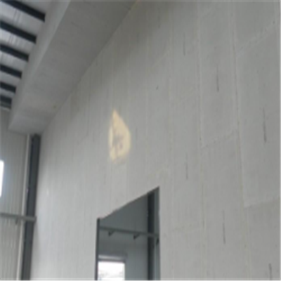 绵竹新型建筑材料掺多种工业废渣的ALC|ACC|FPS模块板材轻质隔墙板